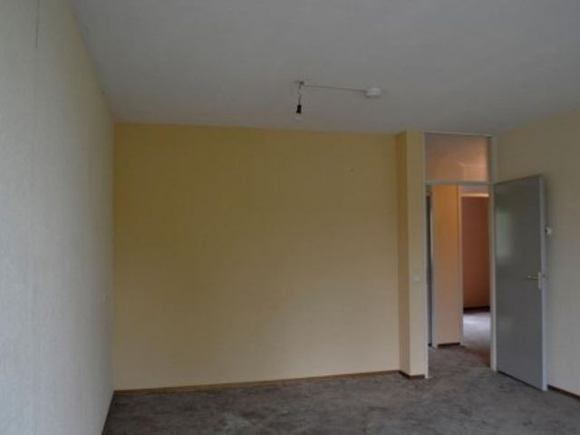 Briljantstraat , Alphen aan den Rijn