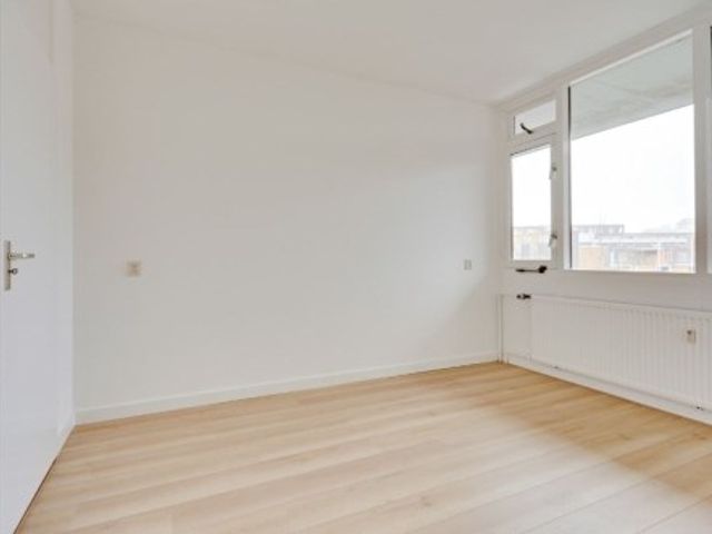 Saffierstraat , Alphen aan den Rijn