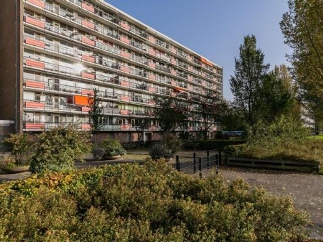 Trekvogelweg , Amersfoort