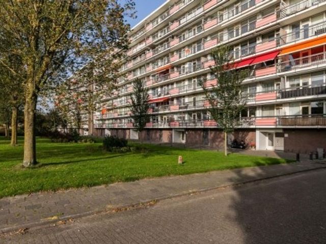 Trekvogelweg , Amersfoort