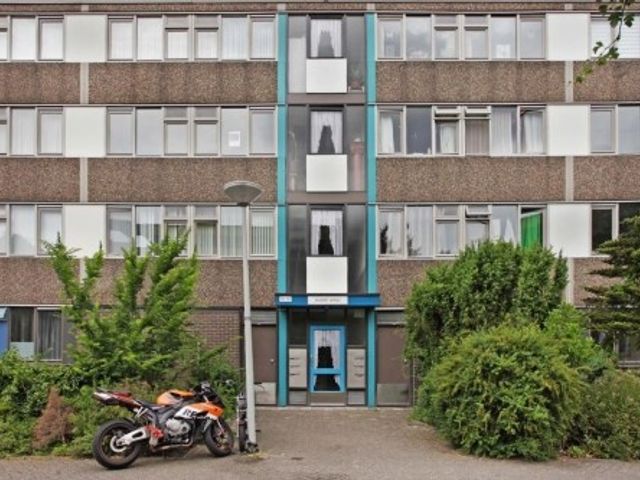 Spinaker , Amsterdam