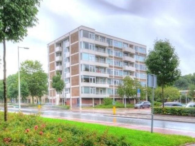 Van Boshuizenstraat , Amsterdam