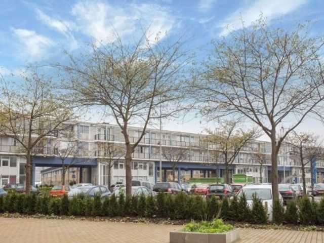 Buitenzagerij , Amsterdam