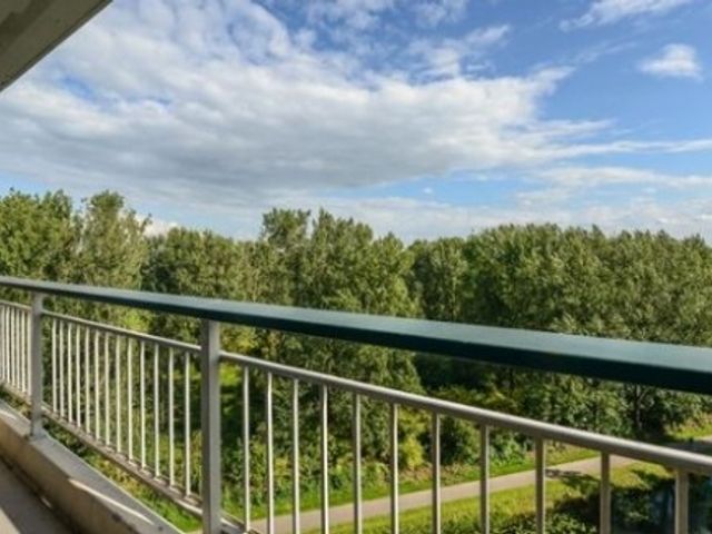 Groningensingel , Arnhem