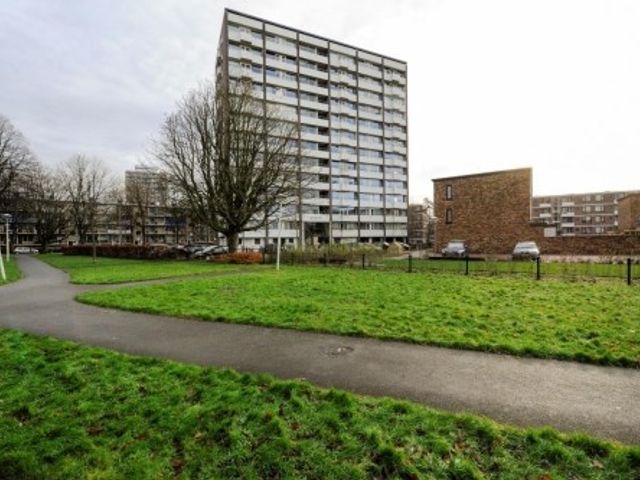 Roggekamp , Den Haag