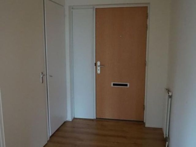 Roggekamp , Den Haag