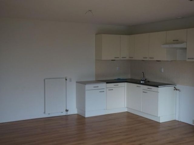 Roggekamp , Den Haag