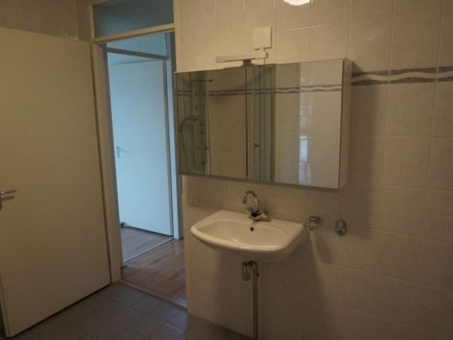 Roggekamp , Den Haag