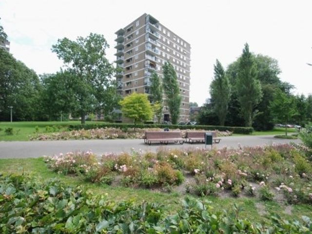 Hendrinaland , Den Haag