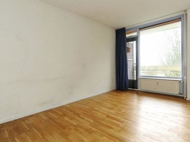 Isabellaland , Den Haag