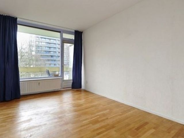 Isabellaland , Den Haag