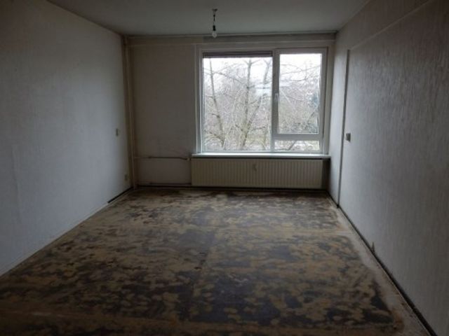 Zocherstraat , Rotterdam