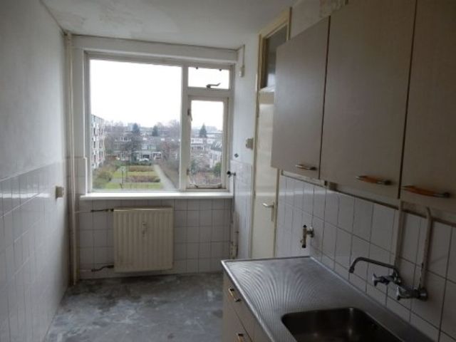 Zocherstraat , Rotterdam