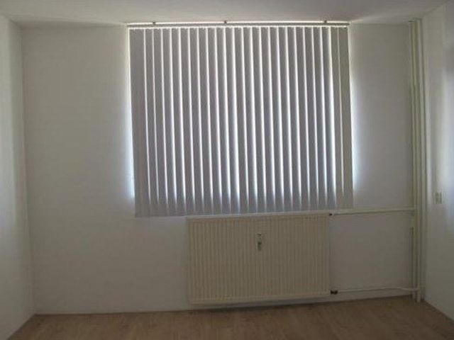 Dadeltuin , Rotterdam