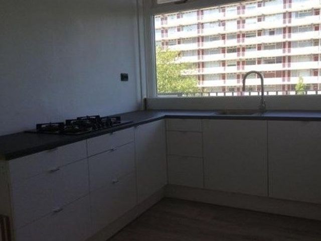 Spuikreek , Rotterdam