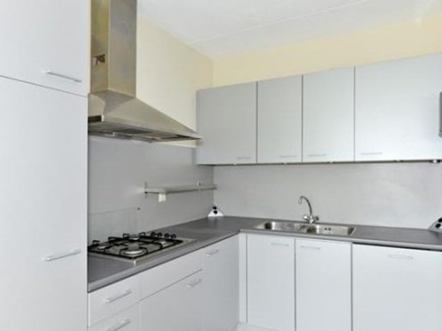 Lotustuin , Rotterdam