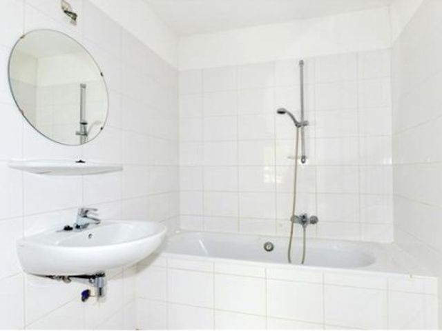 Lotustuin , Rotterdam