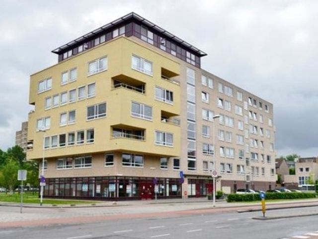 Lotustuin , Rotterdam