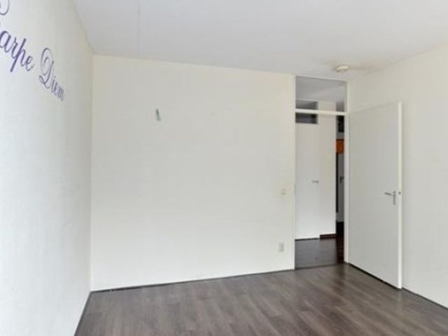 Lotustuin , Rotterdam