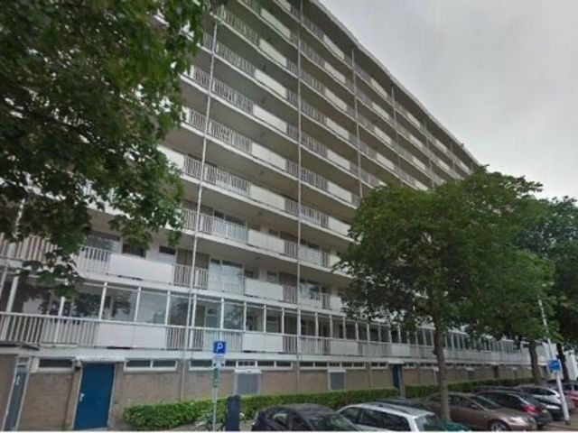 Suze Groeneweglaan , Rotterdam