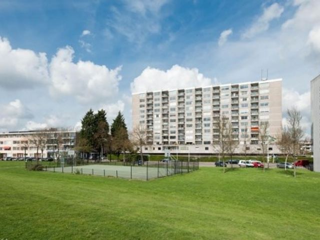 Buizenwerf , Rotterdam