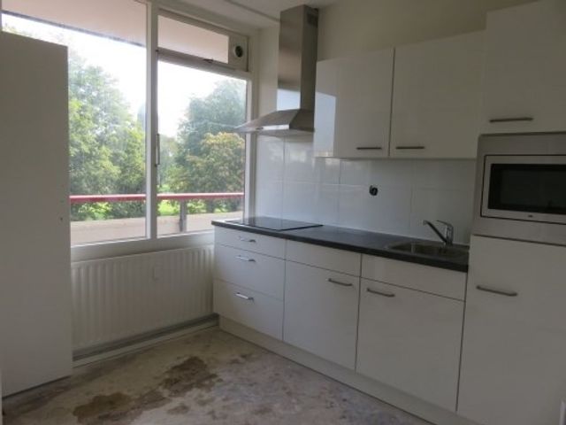 Korfoedreef , Utrecht