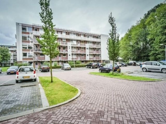 Leverkruidweg , Zaandam