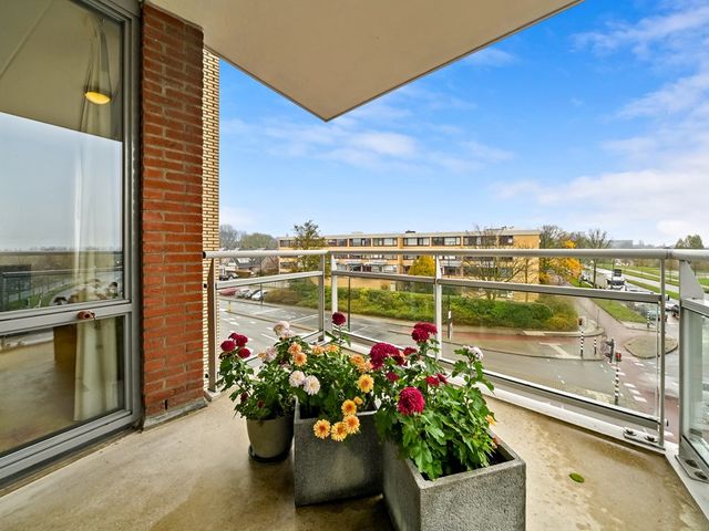 Drijver 91, Maassluis