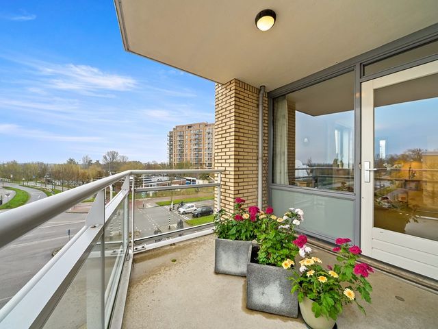 Drijver 91, Maassluis