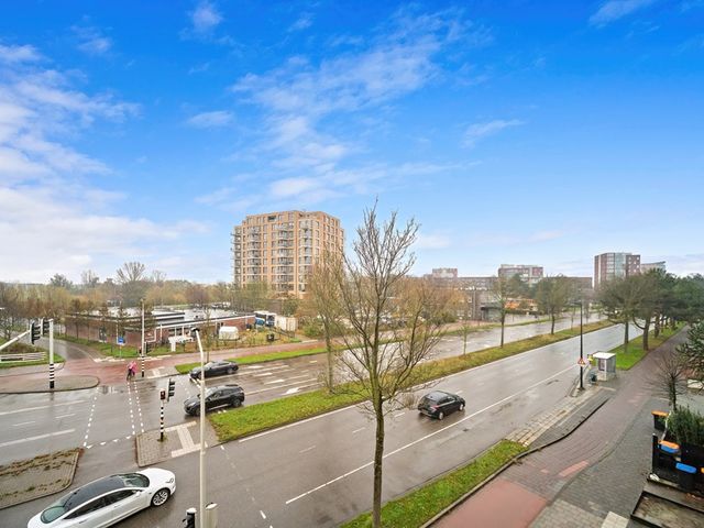 Drijver 91, Maassluis