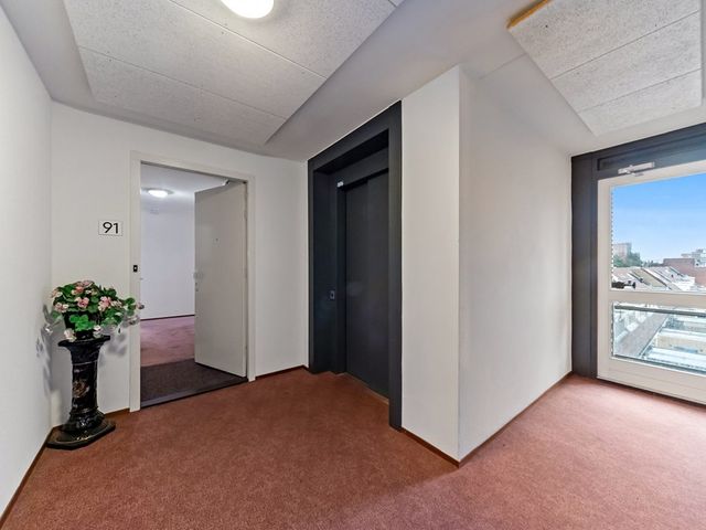 Drijver 91, Maassluis