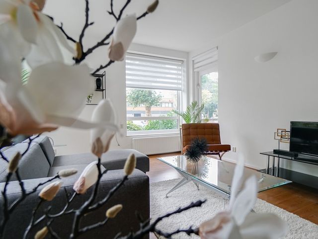 Hengelolaan 1132, 's-Gravenhage