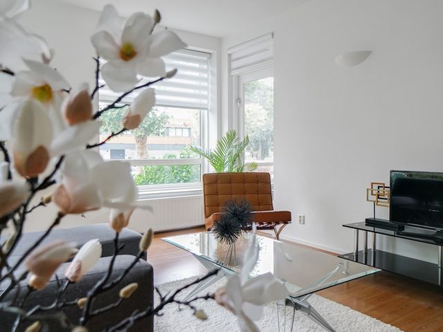 Hengelolaan 1132, 's-Gravenhage