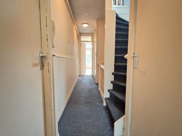 Noordsingel 104 02, Rotterdam