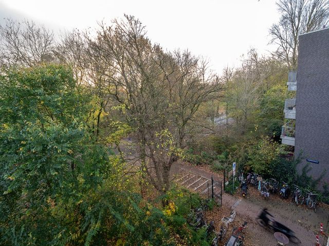 Frederiksstraat 37 3, Amsterdam