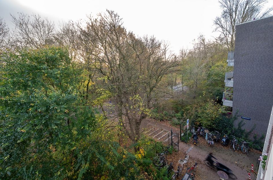 Frederiksstraat 37 3