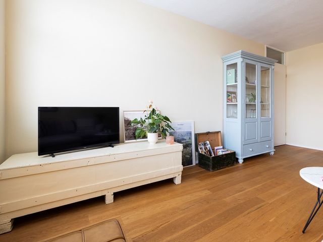 Narcisplantsoen 142, Haarlem