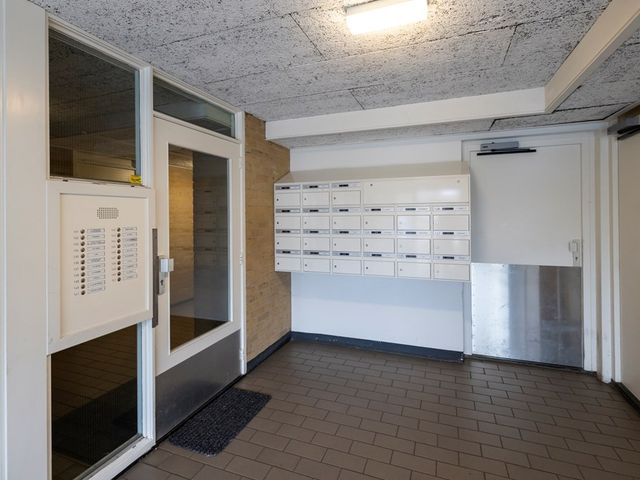 Narcisplantsoen 142, Haarlem