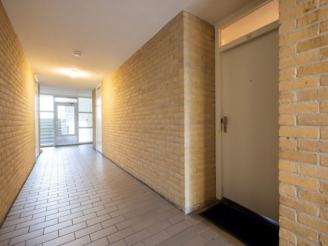 Narcisplantsoen 142, Haarlem