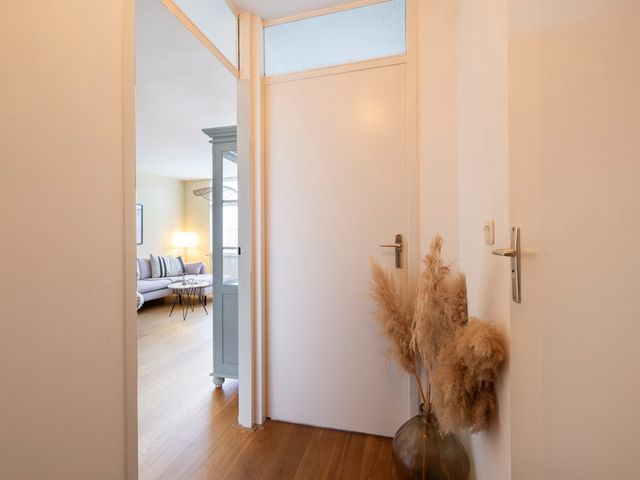 Narcisplantsoen 142, Haarlem