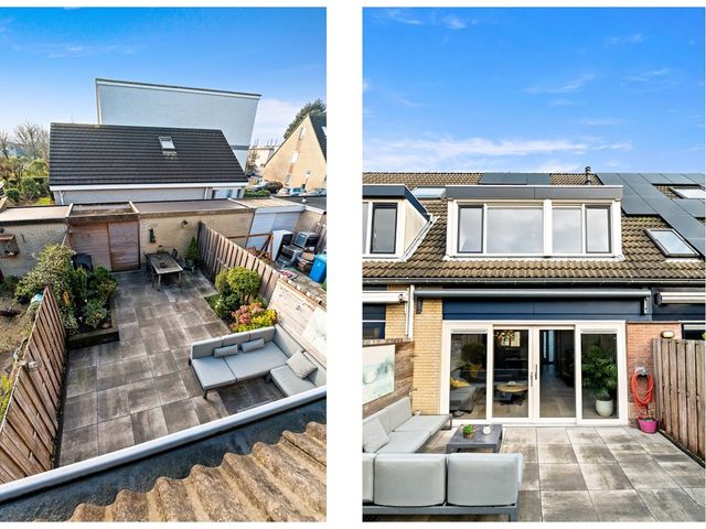 Hondsdraf 21, Maasland