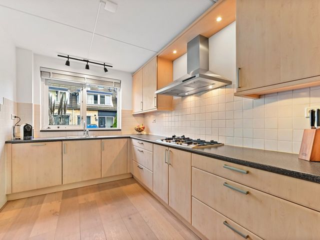 Hondsdraf 21, Maasland