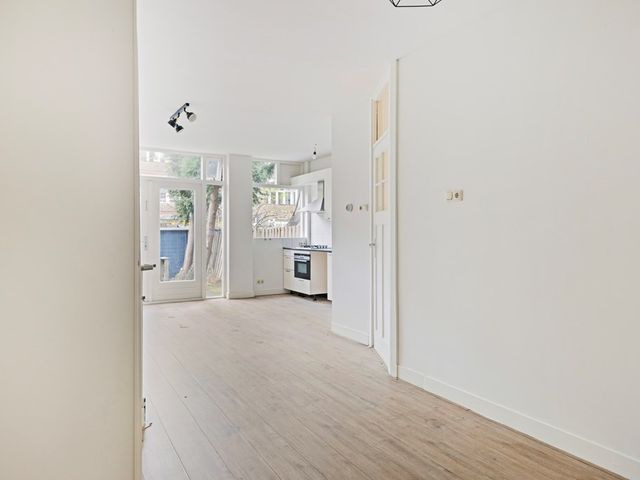 Luzacstraat 11B, Rotterdam