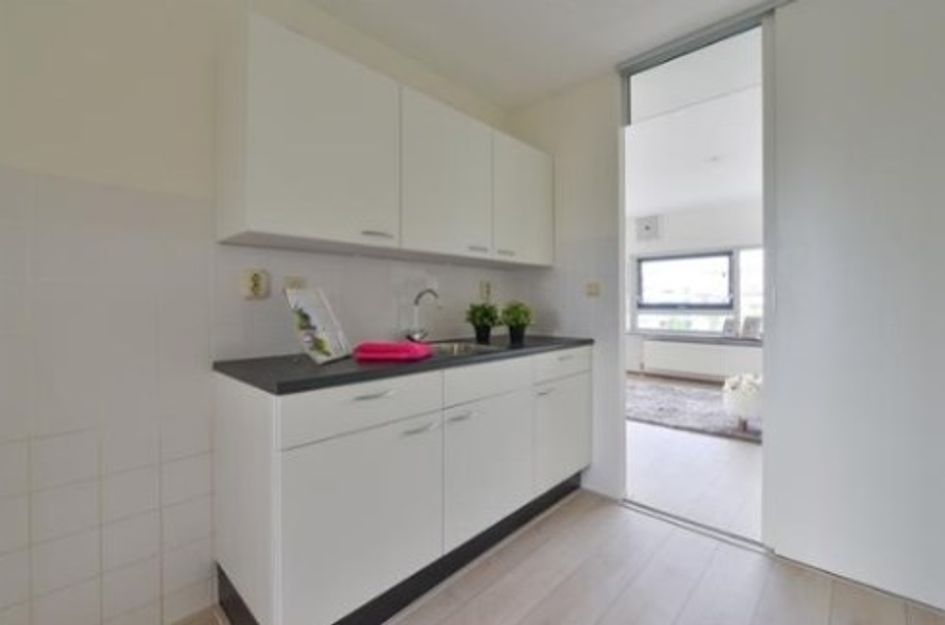 Peter Sellershof ONG