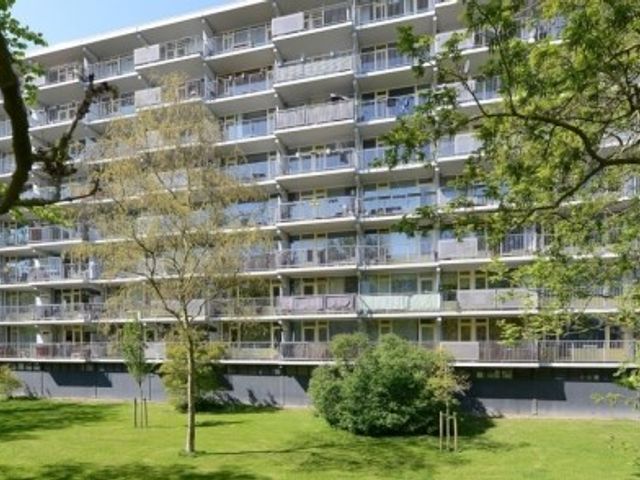 Vliestroom ONG, Alphen aan den Rijn