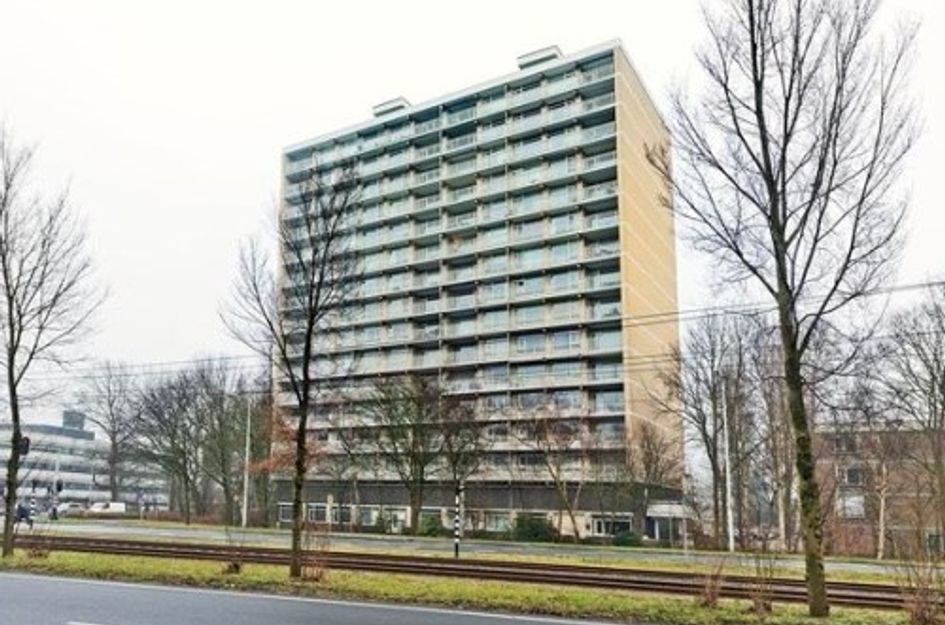 Westelijk Halfrond ONG