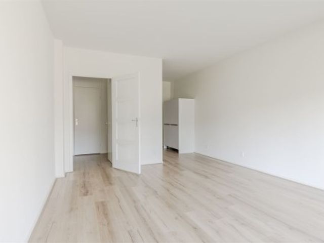 Donau ONG, Amstelveen