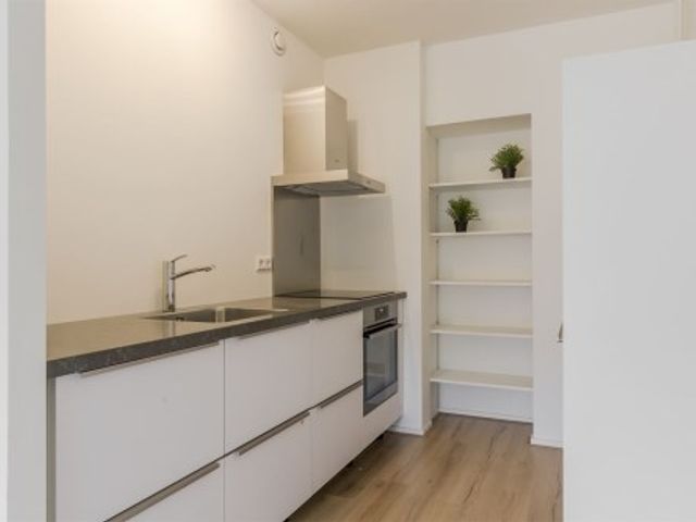 Donau ONG, Amstelveen