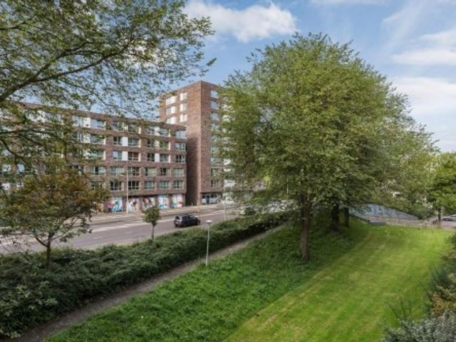 Savelsbos ONG, Amsterdam