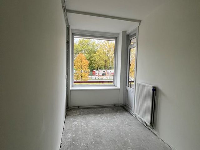 Spinozaweg 205, Rotterdam